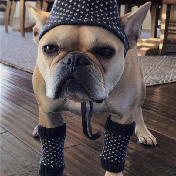 Meet your Posher, Kenneth - Picture 1 of 1